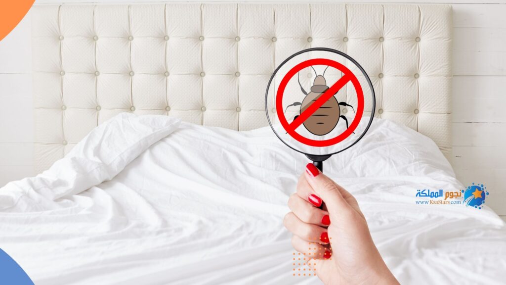 الآثاث المستعمل من أسباب وجود البراغيث في المنزل