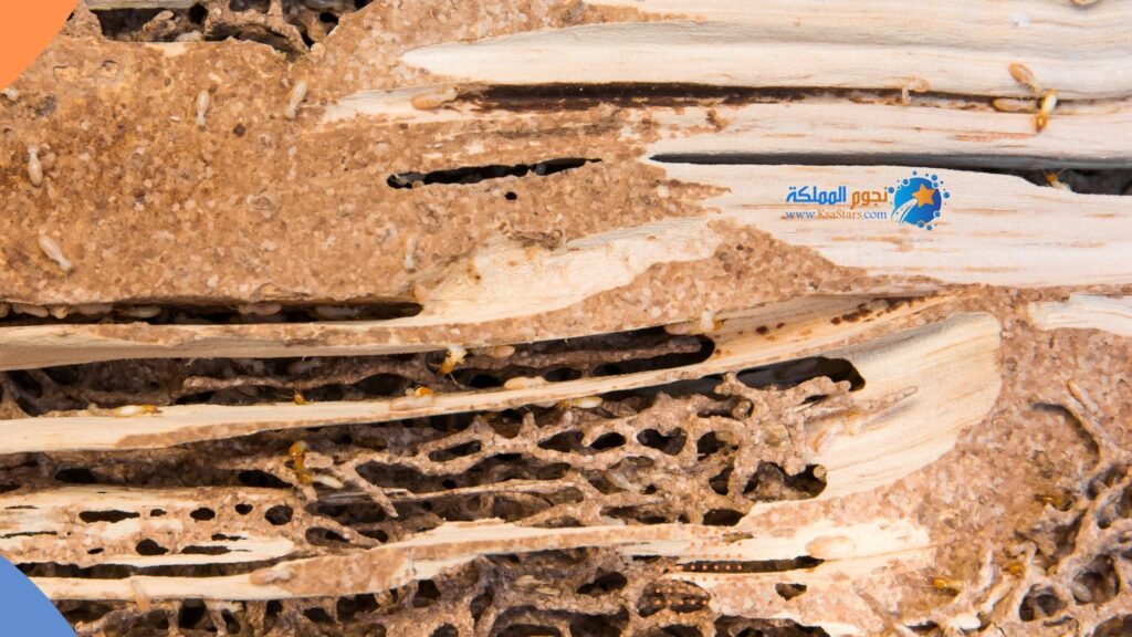 ظهور تشققات أو تقوس في الخشب